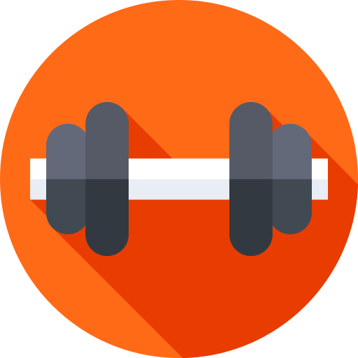 IP icon